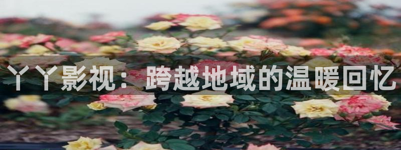 青苹果影院在线免费播放：丫丫影视：跨越地域的温暖回忆