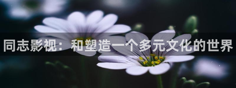 青苹果免费影院：同志影视：和塑造一个多元文化的世界