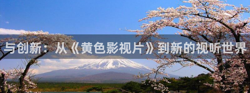 青苹果影院8090：与创新：从《黄色影视片》到新的视听世界