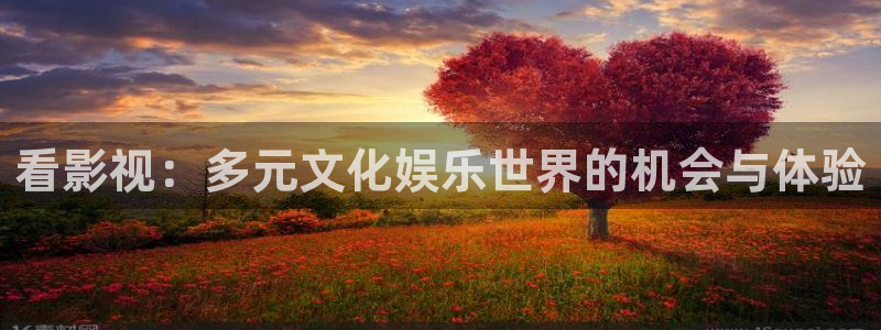 青苹果影院成人版：看影视：多元文化娱乐世界的机会与体验