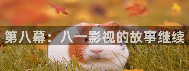 青苹果影院9.8：第八幕：八一影视的故事继续