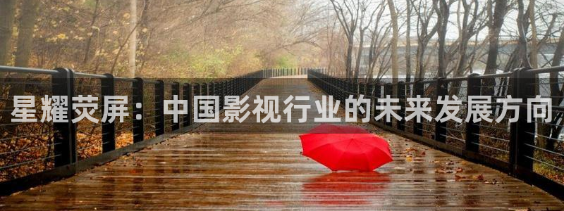 4080青苹果影院：星耀荧屏：中国影视行业的未来发展方向