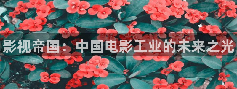 青苹果乐园影院免费观看电视剧高清资源：影视帝国：中国电影工业的未来之光