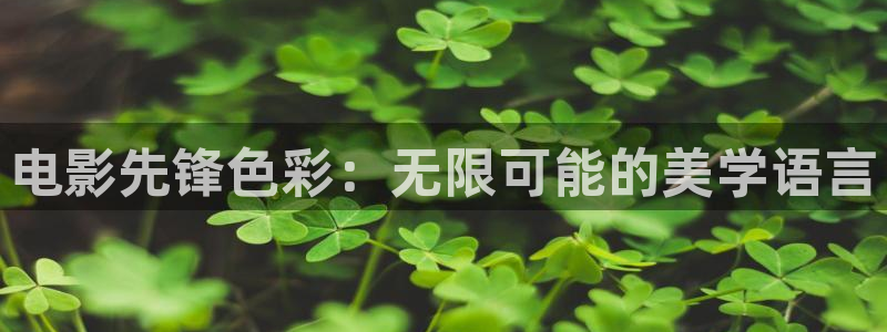 yy4408青苹果乐园：电影先锋色彩：无限可能的美学语言