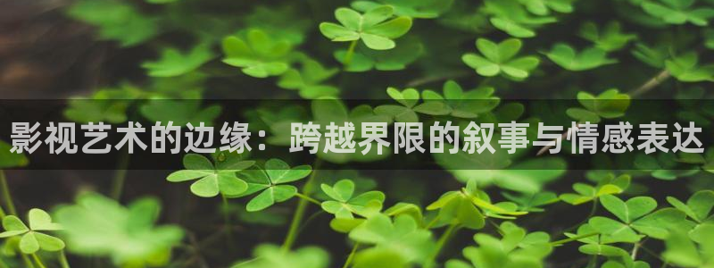 8090青苹果影院：影视艺术的边缘：跨越界限的叙事与情感表达