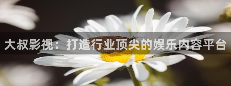 青苹果影院私人影院：大叔影视：打造行业顶尖的娱乐内容平台