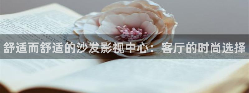 4480青苹果影院电影院：舒适而舒适的沙发影视中心：客厅的时尚选择